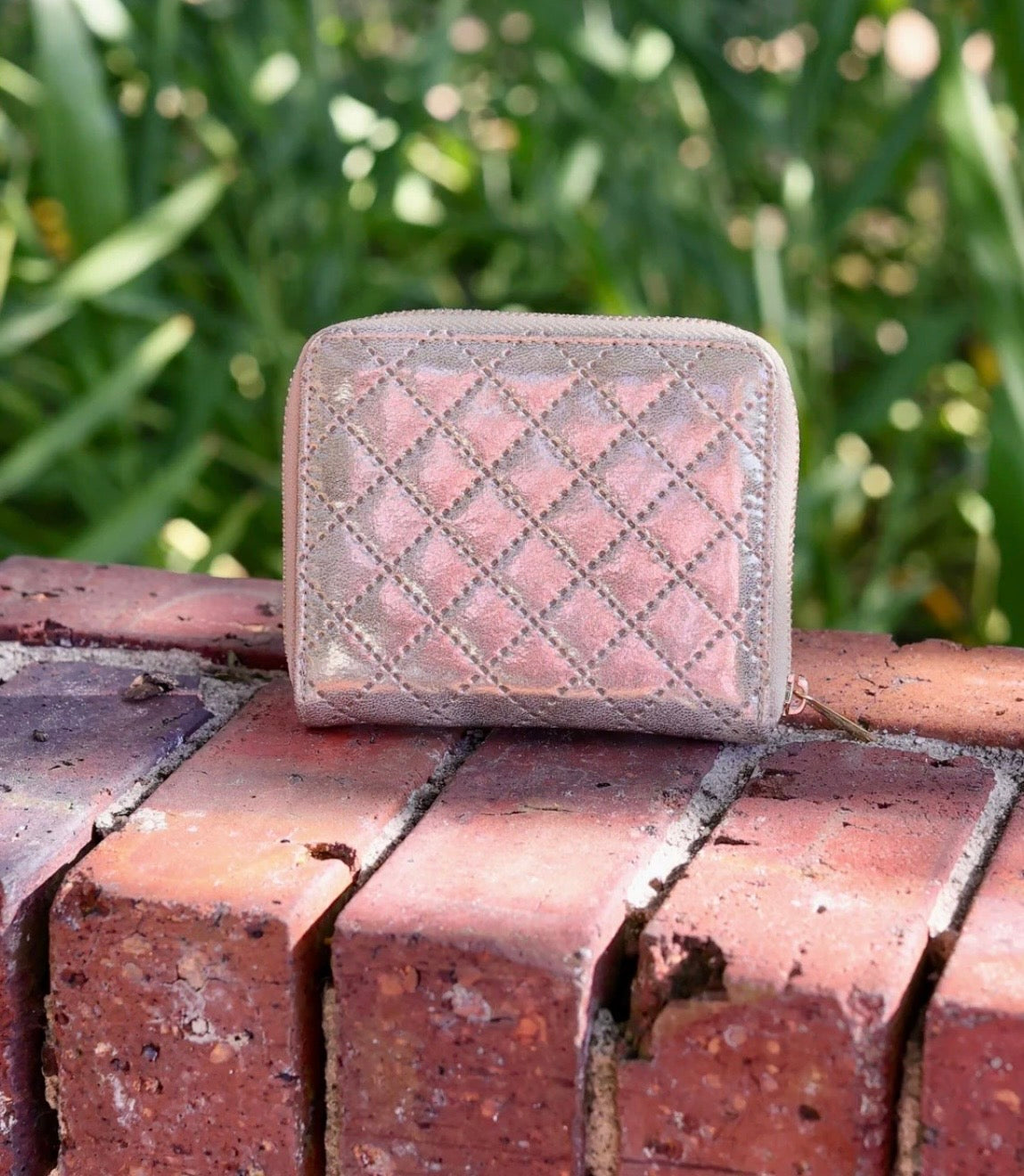 Blakely Wallet - Champagne Pop