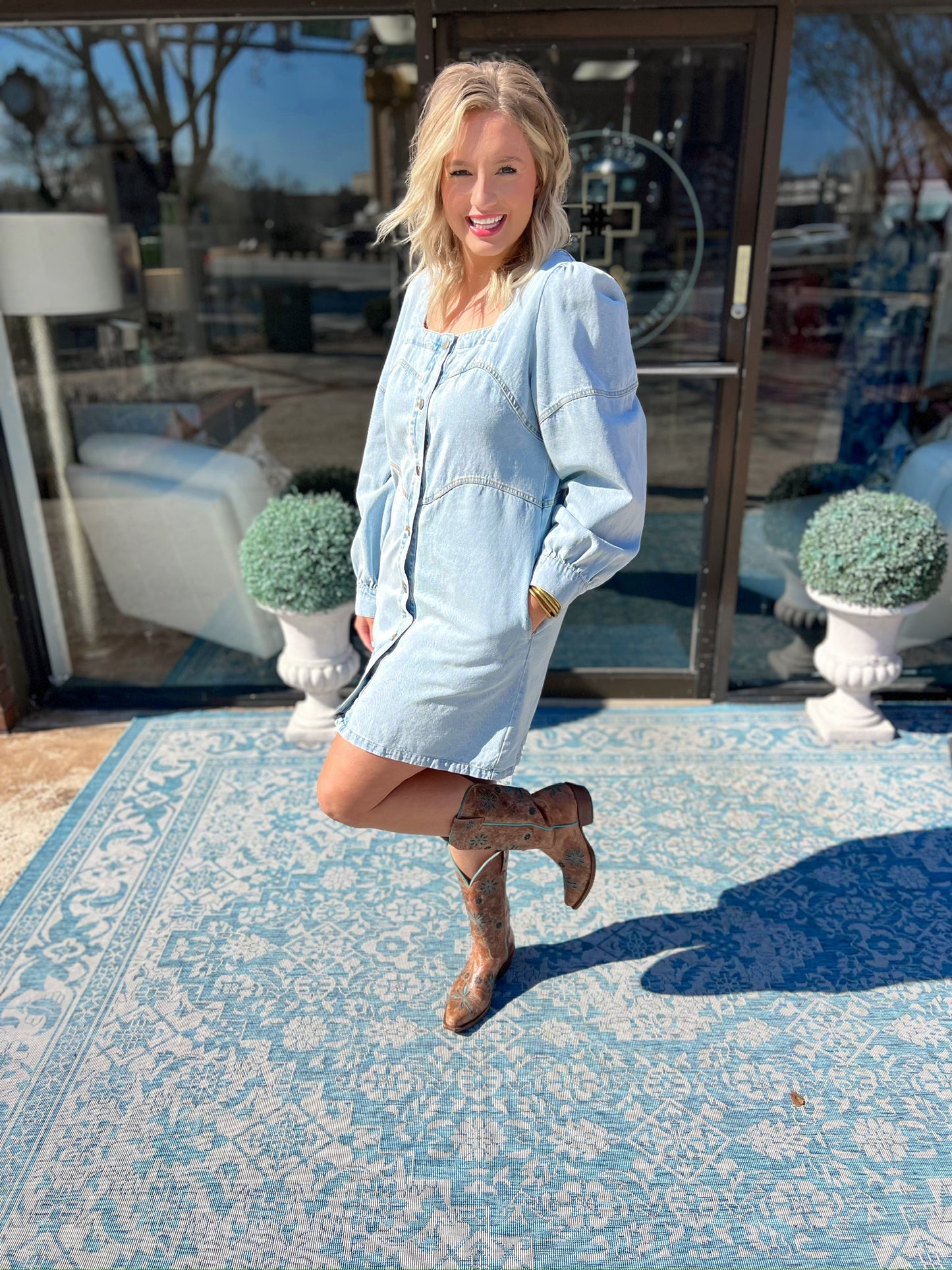 Briar Denim Dress